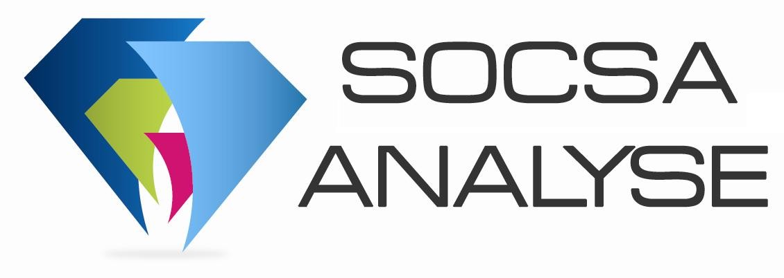 SOCSA Analyse